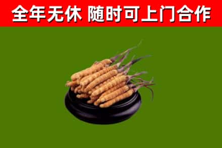 嘉黎县烟酒回收冬虫夏草.jpg