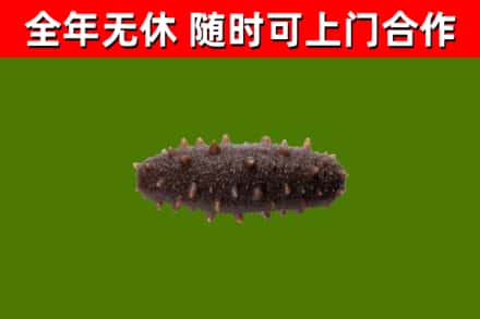 嘉黎县烟酒回收干海参.jpg